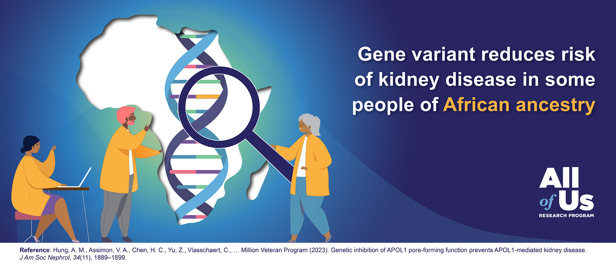 Gene variant reduces risk of kidney disease in some people of African ancestry.  All of Us Research Program. Silhouette of Africa with a DNA strand in the middle, and a person holding a magnifying glass up to the DNA strand. Another person is on a computer, and a third person is looking at the DNA strand.