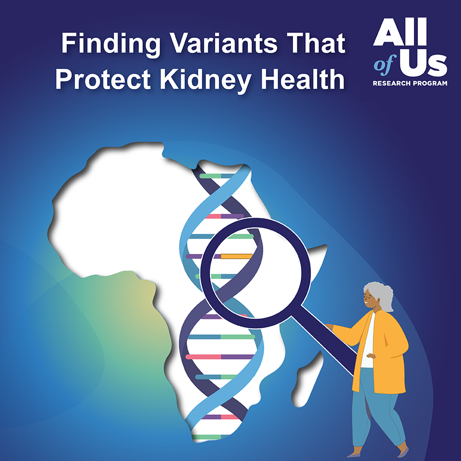 Una imagen con el título “Encontrando variantes que protegen la salud de los riñones” muestra una silueta de África con una cadena de ADN en el medio y una persona sosteniendo una lupa sobre la cadena de ADN.   El logo del Programa Científico All of Us está arriba a la derecha. 