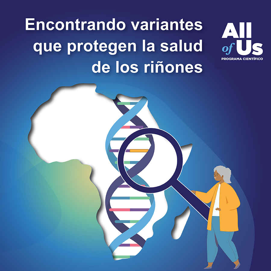 Finding Variants that Protect Kidney Health.   All of Us Research Program. Silhouette of Africa with a DNA strand in the middle, and a person holding a magnifying glass up to the DNA strand.