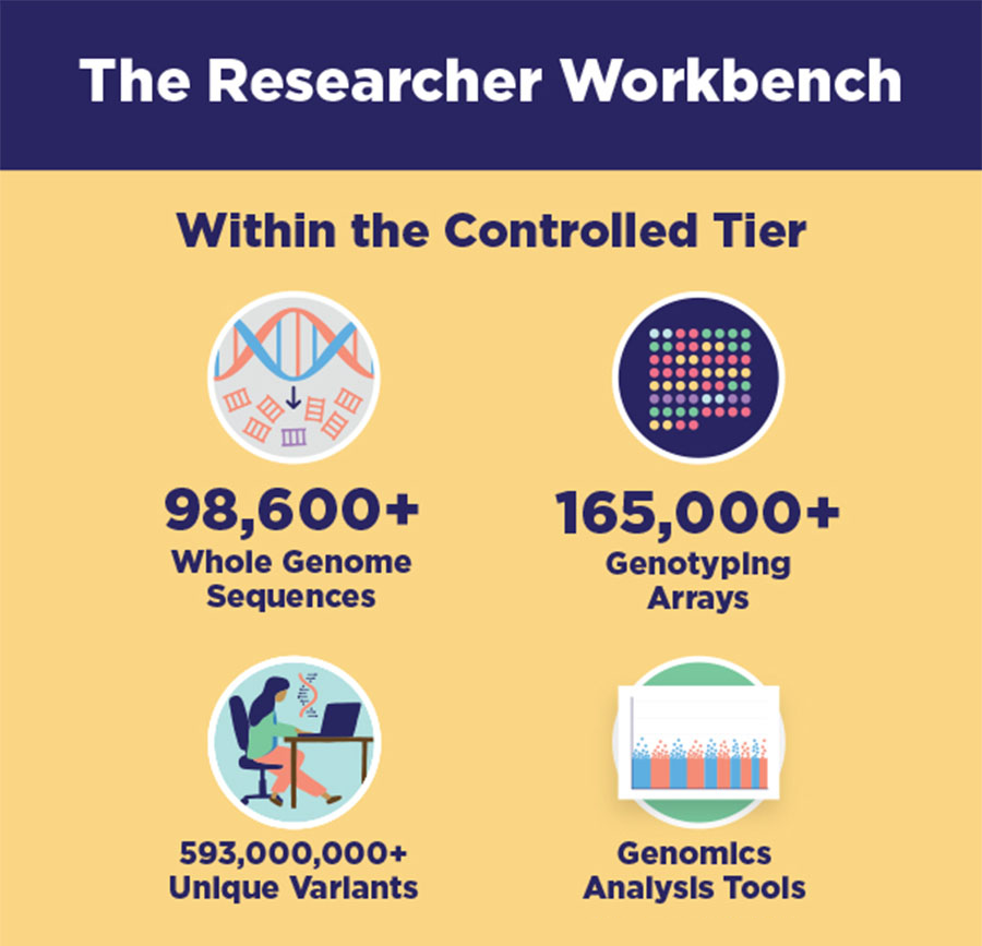 An infographic entitled "The Researcher Workbench.” Within the controlled tier, there are more than 98,600 whole genome sequences; more than 165,000 genotyping arrays; more than 593 million unique variants; and genomics analysis tools.