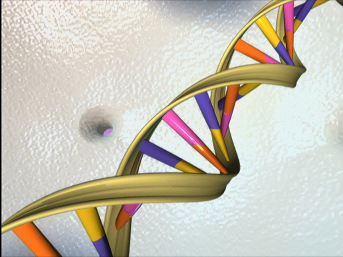 DNA double helix image